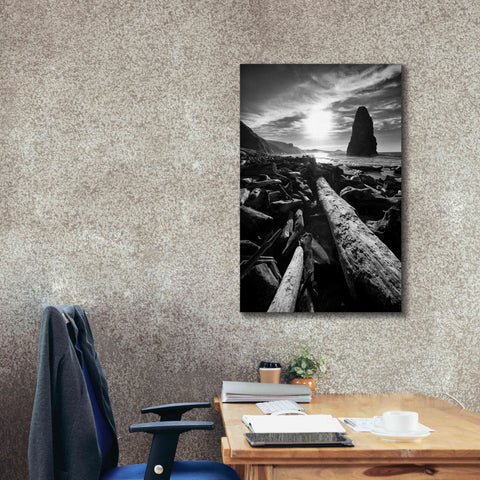 Image of 'Driftwood Sun 1 Silver' by Thomas Haney, Giclee Canvas Wall Art,26 x 40