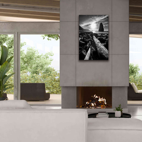 Image of 'Driftwood Sun 1 Silver' by Thomas Haney, Giclee Canvas Wall Art,26 x 40