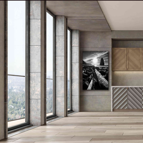 Image of 'Driftwood Sun 1 Silver' by Thomas Haney, Giclee Canvas Wall Art,40 x 60