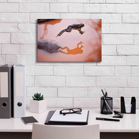 Image of 'Frog Jump 3' by Thomas Haney, Giclee Canvas Wall Art,18 x 12