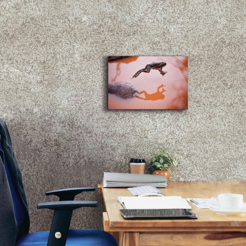 Image of 'Frog Jump 3' by Thomas Haney, Giclee Canvas Wall Art,18 x 12