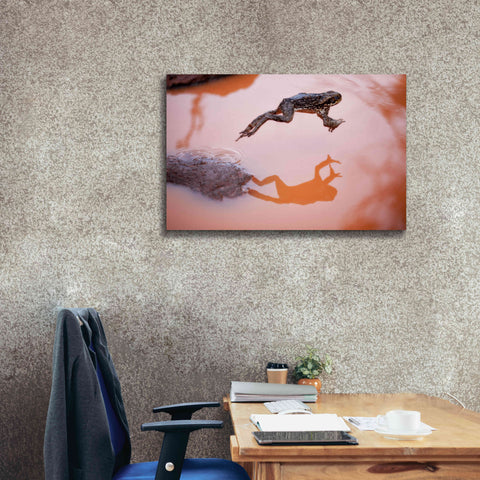 Image of 'Frog Jump 3' by Thomas Haney, Giclee Canvas Wall Art,40 x 26