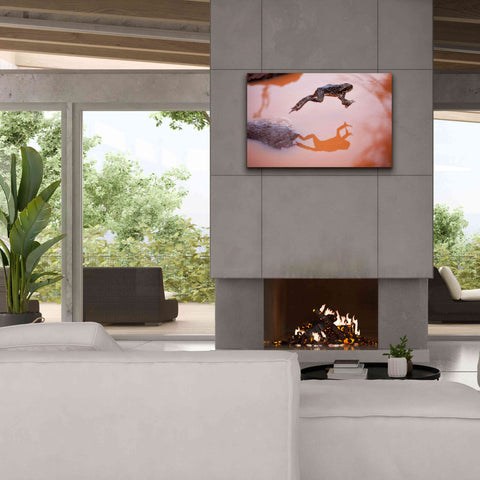 Image of 'Frog Jump 3' by Thomas Haney, Giclee Canvas Wall Art,40 x 26