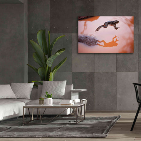 Image of 'Frog Jump 3' by Thomas Haney, Giclee Canvas Wall Art,60 x 40