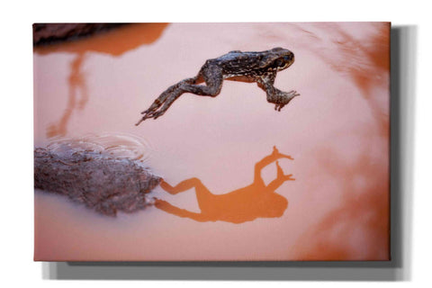 Image of 'Frog Jump 3' by Thomas Haney, Giclee Canvas Wall Art