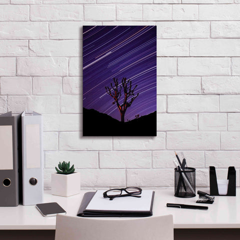 Image of 'Joshua Tree Brilliant Stars 2' by Thomas Haney, Giclee Canvas Wall Art,12 x 18
