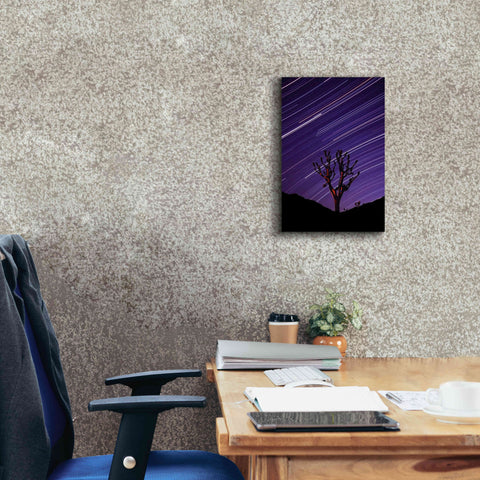 Image of 'Joshua Tree Brilliant Stars 2' by Thomas Haney, Giclee Canvas Wall Art,12 x 18