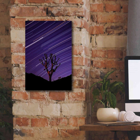 Image of 'Joshua Tree Brilliant Stars 2' by Thomas Haney, Giclee Canvas Wall Art,12 x 18
