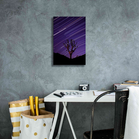 Image of 'Joshua Tree Brilliant Stars 2' by Thomas Haney, Giclee Canvas Wall Art,12 x 18
