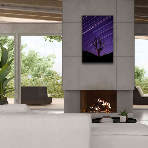 Image of 'Joshua Tree Brilliant Stars 2' by Thomas Haney, Giclee Canvas Wall Art,26 x 40