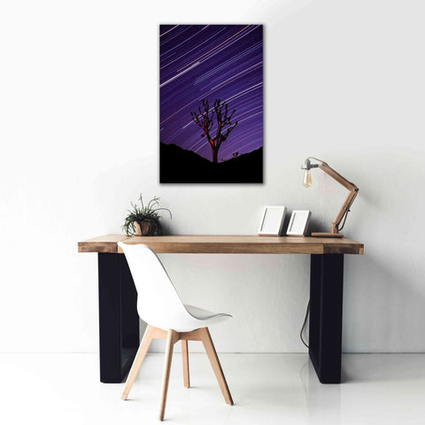 Image of 'Joshua Tree Brilliant Stars 2' by Thomas Haney, Giclee Canvas Wall Art,26 x 40