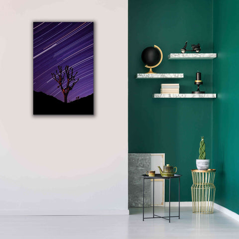 Image of 'Joshua Tree Brilliant Stars 2' by Thomas Haney, Giclee Canvas Wall Art,26 x 40