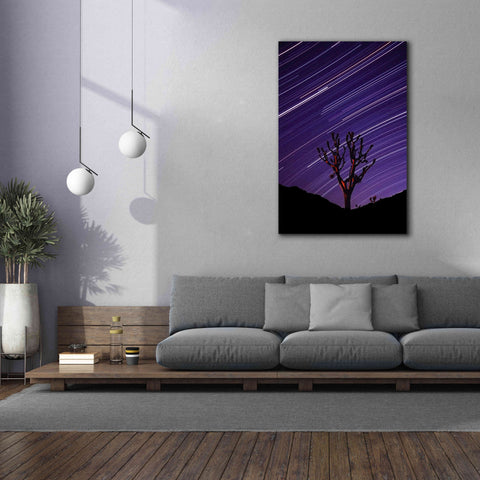 Image of 'Joshua Tree Brilliant Stars 2' by Thomas Haney, Giclee Canvas Wall Art,40 x 60