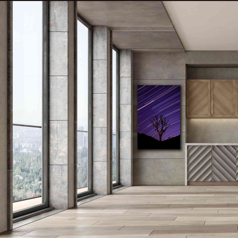 Image of 'Joshua Tree Brilliant Stars 2' by Thomas Haney, Giclee Canvas Wall Art,40 x 60