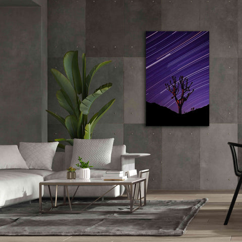 Image of 'Joshua Tree Brilliant Stars 2' by Thomas Haney, Giclee Canvas Wall Art,40 x 60
