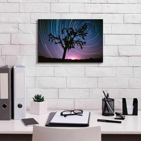 Image of 'Joshua Tree North Star Proc' by Thomas Haney, Giclee Canvas Wall Art,18 x 12