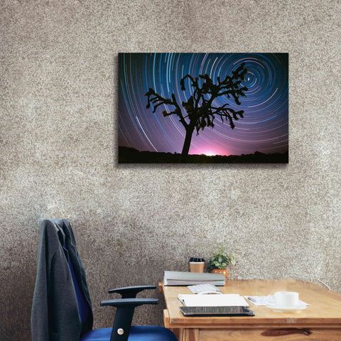 Image of 'Joshua Tree North Star Proc' by Thomas Haney, Giclee Canvas Wall Art,40 x 26