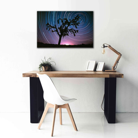 Image of 'Joshua Tree North Star Proc' by Thomas Haney, Giclee Canvas Wall Art,40 x 26