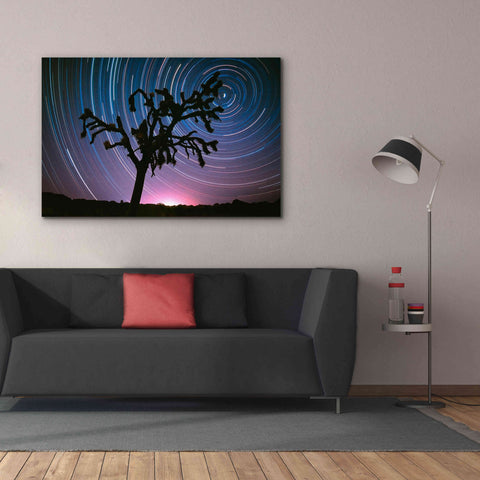 Image of 'Joshua Tree North Star Proc' by Thomas Haney, Giclee Canvas Wall Art,60 x 40