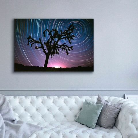 Image of 'Joshua Tree North Star Proc' by Thomas Haney, Giclee Canvas Wall Art,60 x 40