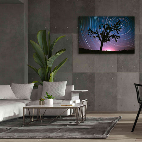 Image of 'Joshua Tree North Star Proc' by Thomas Haney, Giclee Canvas Wall Art,60 x 40