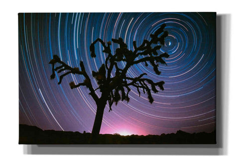 Image of 'Joshua Tree North Star Proc' by Thomas Haney, Giclee Canvas Wall Art