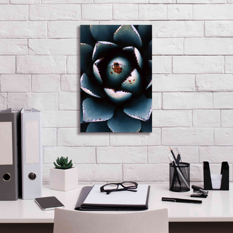 Image of 'Ladybugs Agave' by Thomas Haney, Giclee Canvas Wall Art,12 x 18