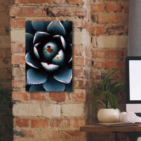 Image of 'Ladybugs Agave' by Thomas Haney, Giclee Canvas Wall Art,12 x 18