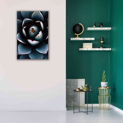 Image of 'Ladybugs Agave' by Thomas Haney, Giclee Canvas Wall Art,26 x 40