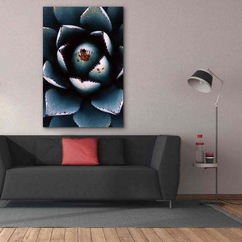 Image of 'Ladybugs Agave' by Thomas Haney, Giclee Canvas Wall Art,40 x 60