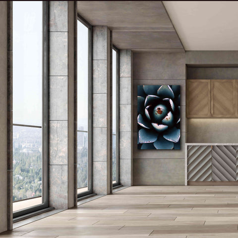 Image of 'Ladybugs Agave' by Thomas Haney, Giclee Canvas Wall Art,40 x 60