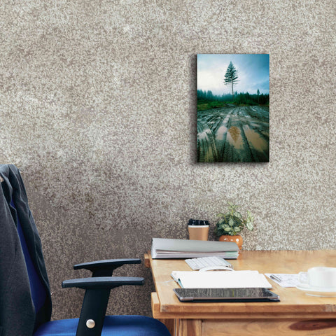 Image of 'Lonefir' by Thomas Haney, Giclee Canvas Wall Art,12 x 18