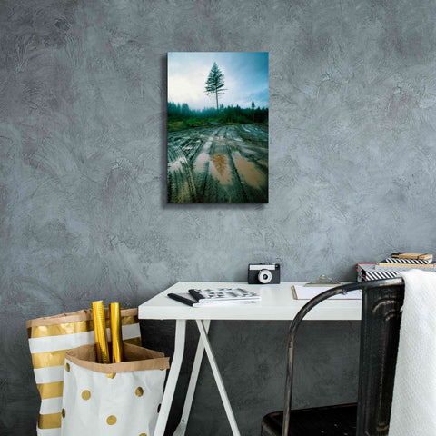 Image of 'Lonefir' by Thomas Haney, Giclee Canvas Wall Art,12 x 18