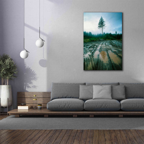 Image of 'Lonefir' by Thomas Haney, Giclee Canvas Wall Art,40 x 60