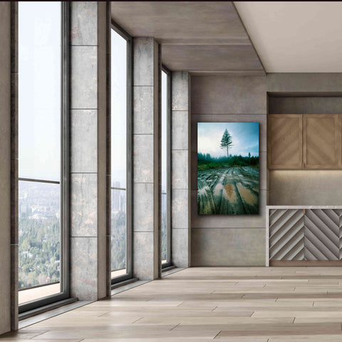 Image of 'Lonefir' by Thomas Haney, Giclee Canvas Wall Art,40 x 60