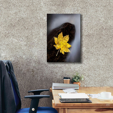 Image of 'Maple Leaf Stranded' by Thomas Haney, Giclee Canvas Wall Art,18 x 26