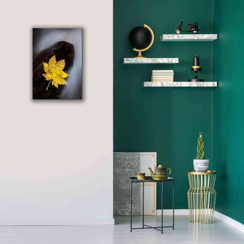 Image of 'Maple Leaf Stranded' by Thomas Haney, Giclee Canvas Wall Art,18 x 26