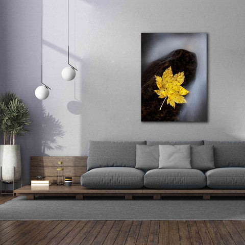 Image of 'Maple Leaf Stranded' by Thomas Haney, Giclee Canvas Wall Art,40 x 54