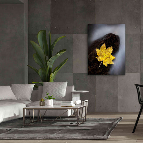 Image of 'Maple Leaf Stranded' by Thomas Haney, Giclee Canvas Wall Art,40 x 54