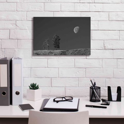 Image of 'Moon Trees Hill' by Thomas Haney, Giclee Canvas Wall Art,18 x 12
