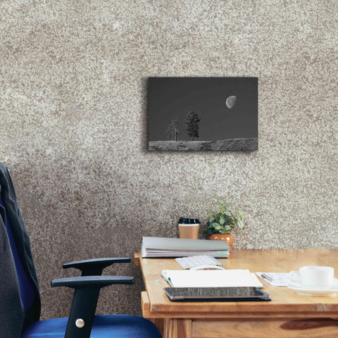 Image of 'Moon Trees Hill' by Thomas Haney, Giclee Canvas Wall Art,18 x 12