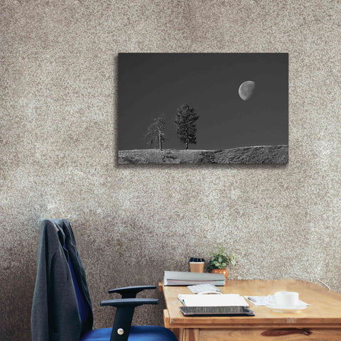 Image of 'Moon Trees Hill' by Thomas Haney, Giclee Canvas Wall Art,40 x 26