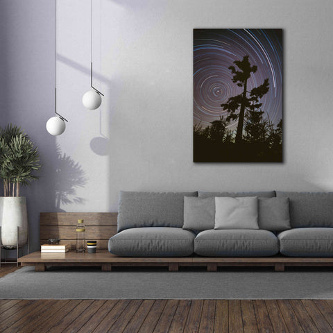 Image of 'Polaris Pine' by Thomas Haney, Giclee Canvas Wall Art,40 x 60