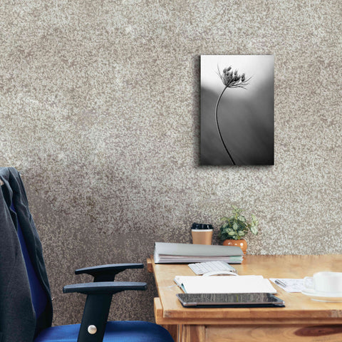 Image of 'Queen Anne's B&W' by Thomas Haney, Giclee Canvas Wall Art,12 x 18