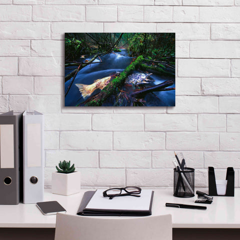 Image of 'Salmon Trapped' by Thomas Haney, Giclee Canvas Wall Art,18 x 12