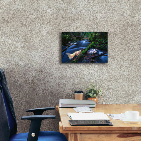 Image of 'Salmon Trapped' by Thomas Haney, Giclee Canvas Wall Art,18 x 12
