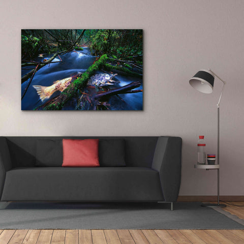 Image of 'Salmon Trapped' by Thomas Haney, Giclee Canvas Wall Art,60 x 40