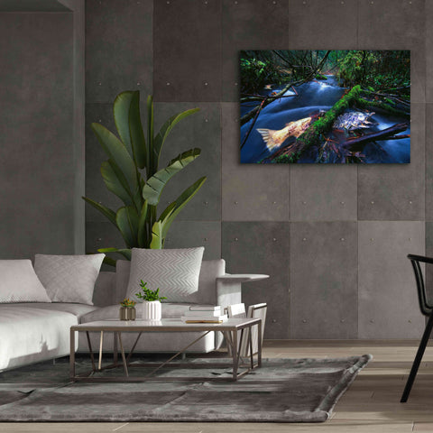 Image of 'Salmon Trapped' by Thomas Haney, Giclee Canvas Wall Art,60 x 40