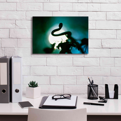 Image of 'Snake Sun' by Thomas Haney, Giclee Canvas Wall Art,18 x 12