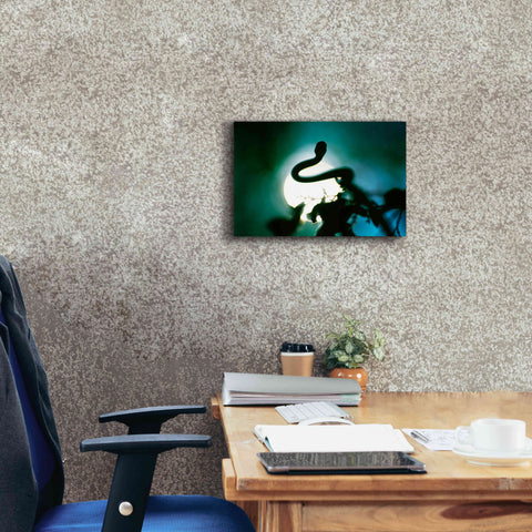 Image of 'Snake Sun' by Thomas Haney, Giclee Canvas Wall Art,18 x 12